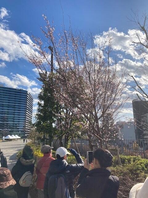 ⑨.jpg
